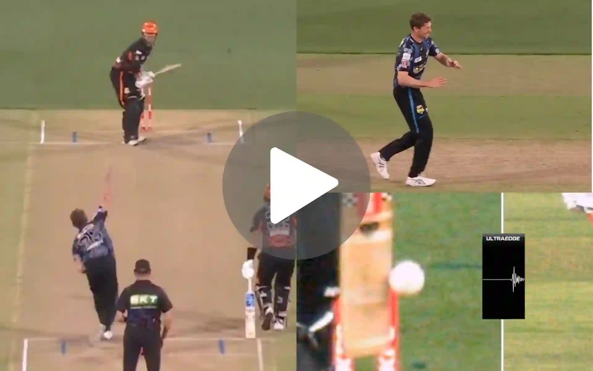 [Watch] BBL Sensation Survives As Adelaide Strikers Don't Appeal For Clear Caught Behind